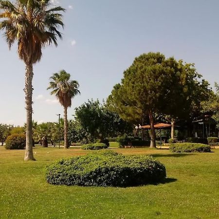 Lovely 1-Bedroom 2 Minutes From Beach أثينا المظهر الخارجي الصورة