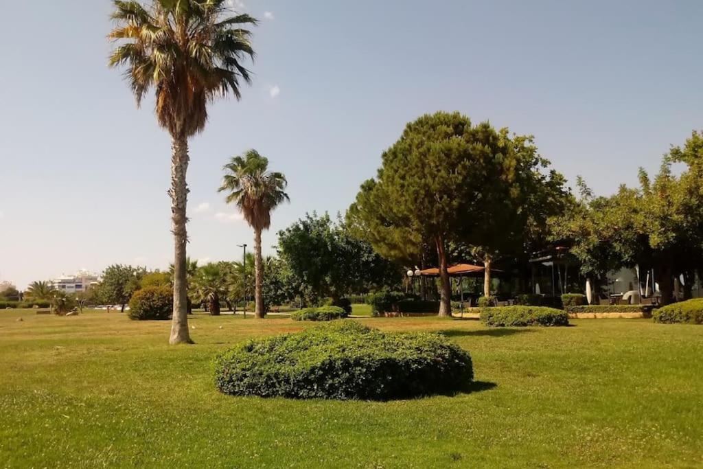 Lovely 1-Bedroom 2 Minutes From Beach أثينا المظهر الخارجي الصورة